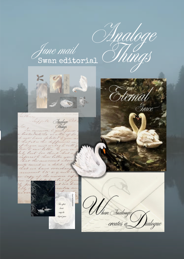 June Letter  Swan Love